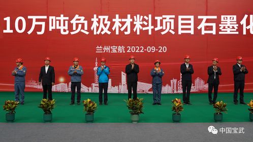 宝武碳业十万吨负极材料项目获重要进展，新材料技术研发引领锂离子电池行业发展